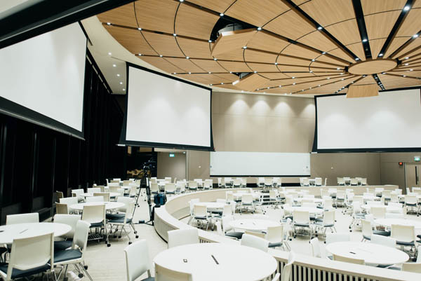 Conference room projection screens