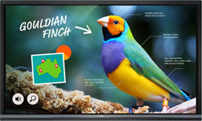 Gouldian Finch on Touchscreen